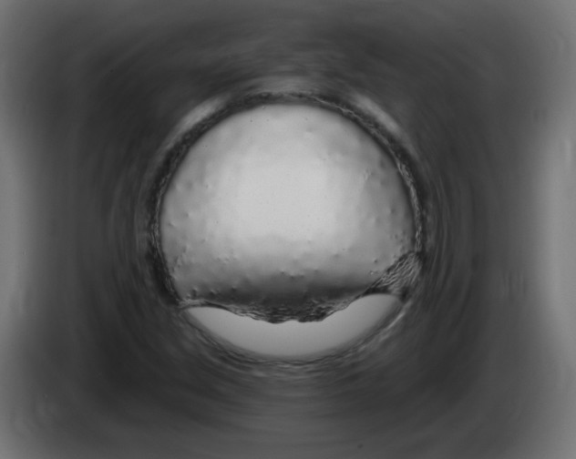 X0000083021213200703021955