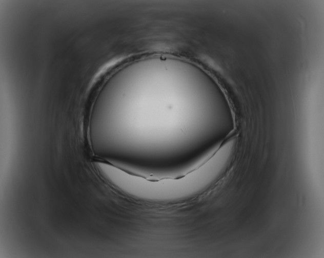 X0000083021214200703021955