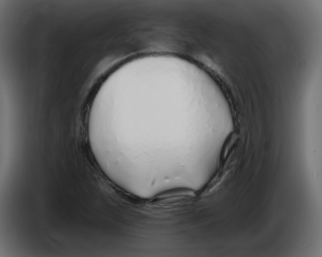 X0000083021215200703021955