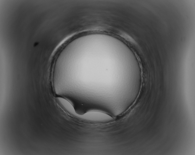 X0000083021216200703021955