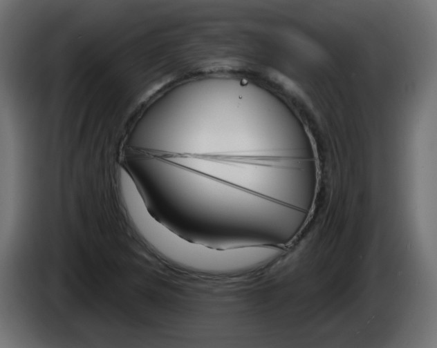 X0000083021217200703021955