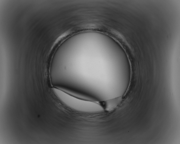 X0000083021218200703021955