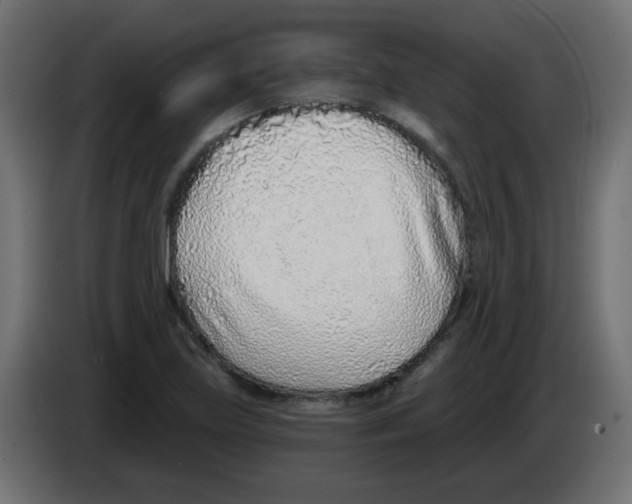 X0000083021219200703021955