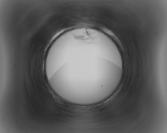 X0000083021220200703021955