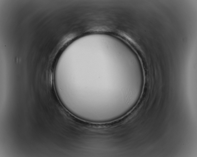 X0000083021221200703021955
