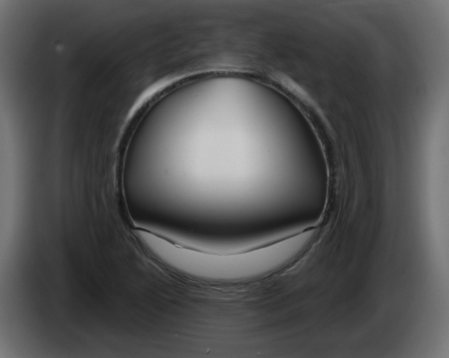 X0000083021222200703021955