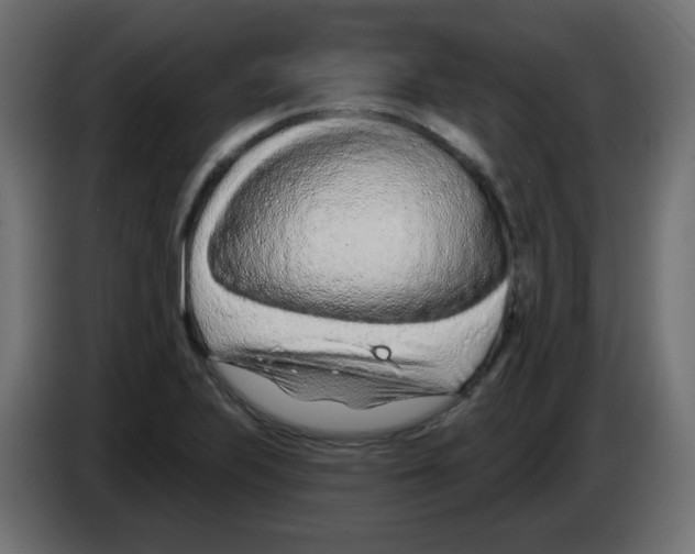 X0000083021223200703021955