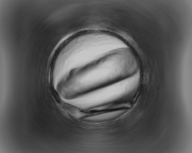 X0000083021224200703021955