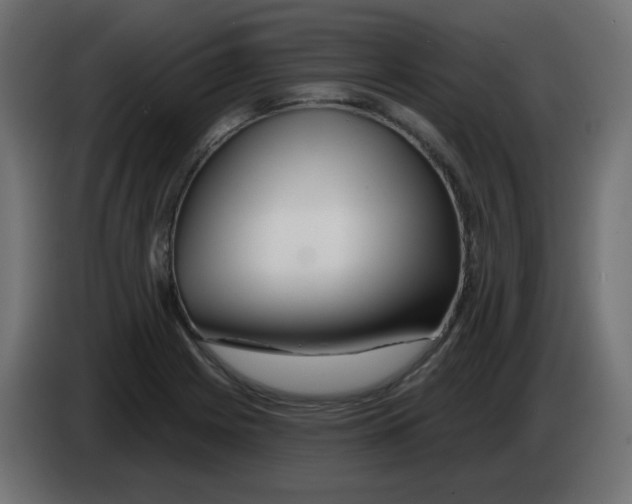 X0000083021225200703021955