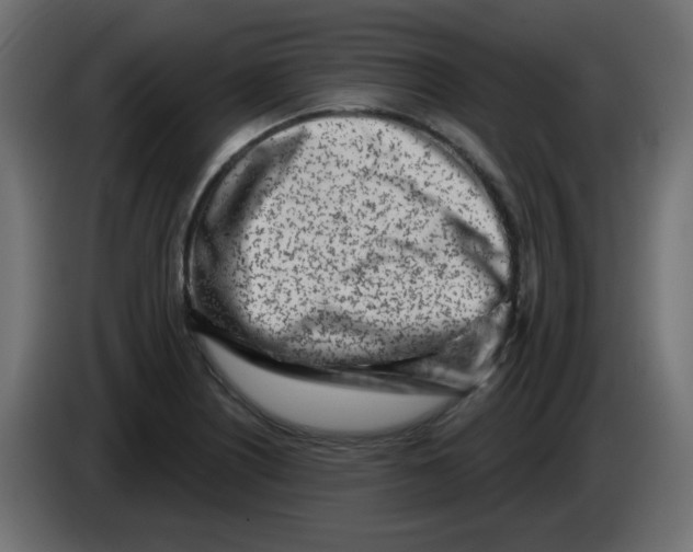 X0000083021226200703021955