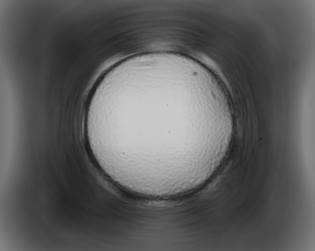 X0000083021227200703021955