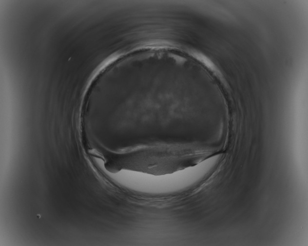 X0000083021229200703021955