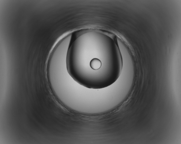 X0000083021230200703021955
