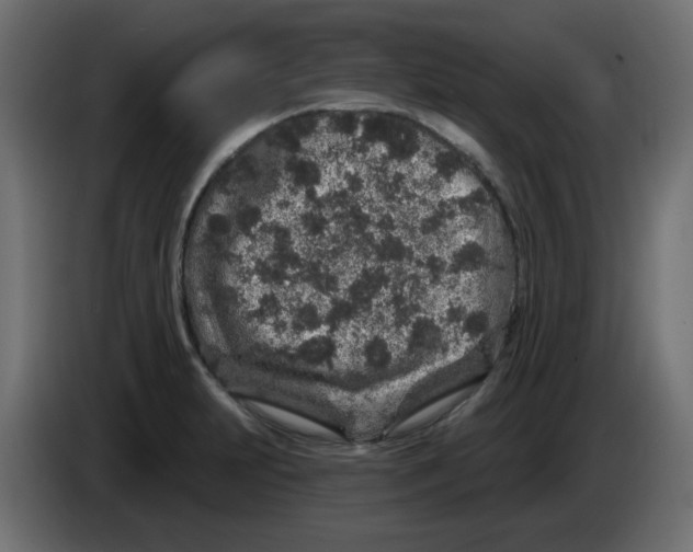 X0000083021231200703021955
