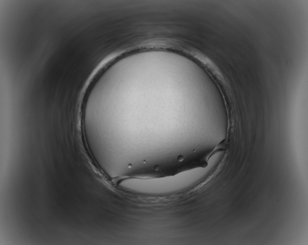 X0000083021232200703021955