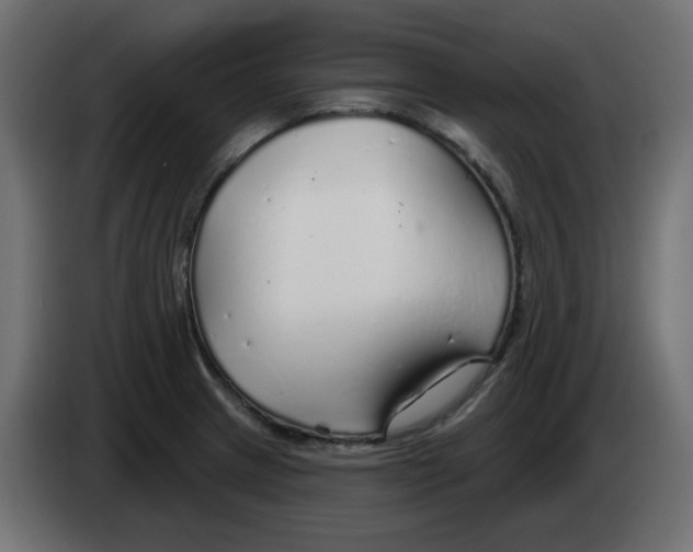 X0000083021233200703021955