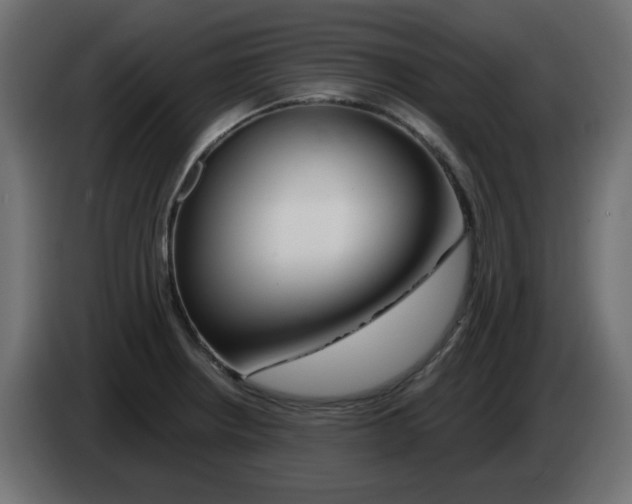 X0000083021234200703021955