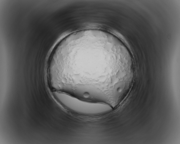 X0000083021235200703021955