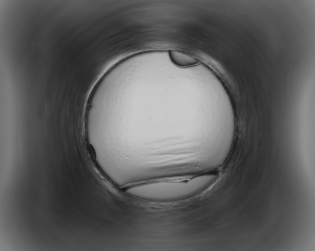 X0000083021236200703021955