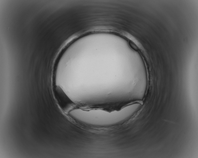 X0000083021237200703021955