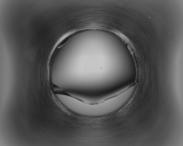 X0000083021238200703021955