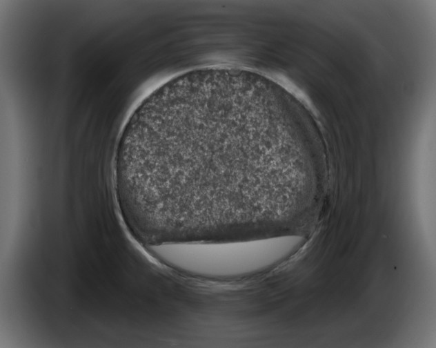 X0000083021239200703021955