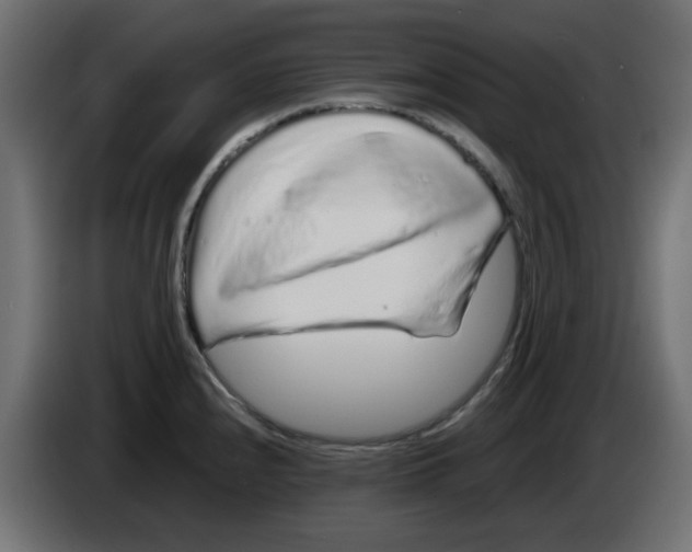 X0000083021240200703021955