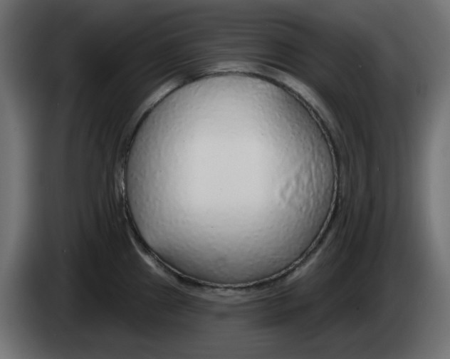 X0000083021241200703021955