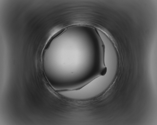 X0000083021242200703021955