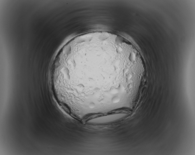 X0000083021243200703021955