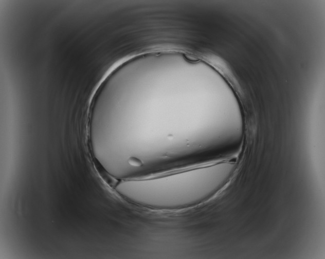 X0000083021244200703021955