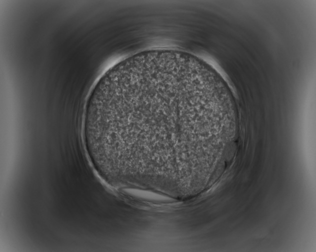 X0000083021245200703021955