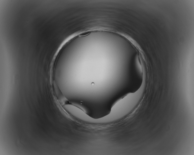 X0000083021246200703021955