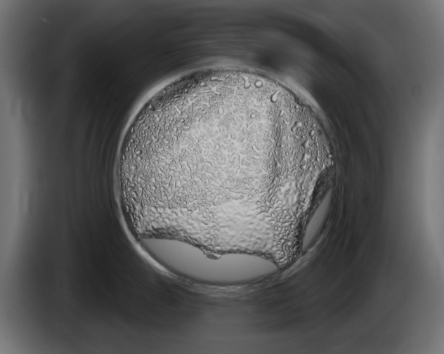 X0000083021247200703021955