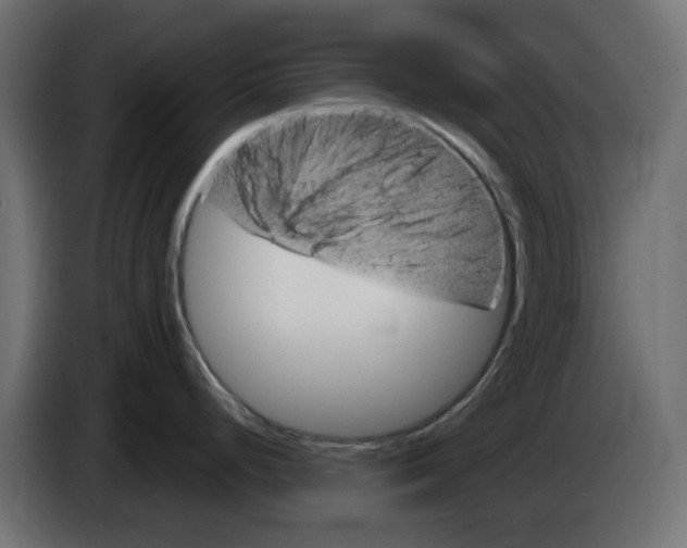 X0000083021248200703021955