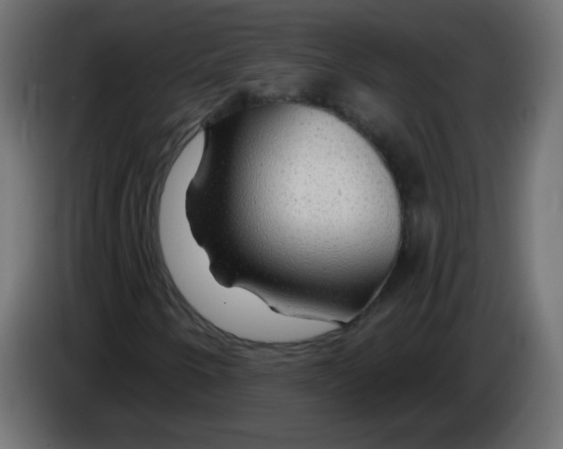 X0000083021250200703021955