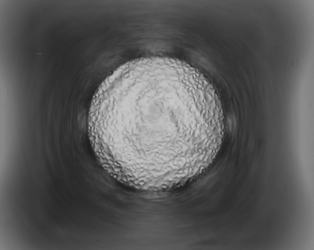 X0000083021251200703021955