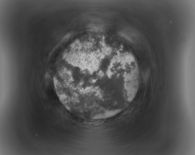 X0000083021254200703021955