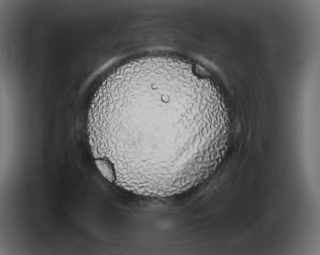 X0000083021255200703021955