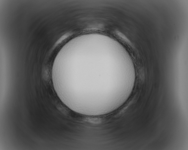 X0000083021258200703021955