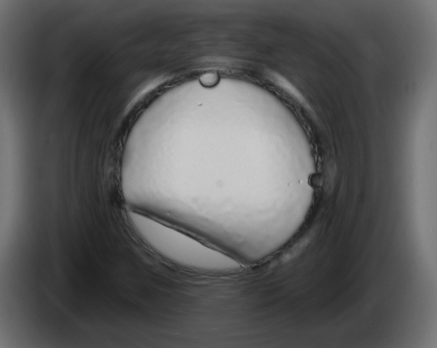 X0000083021259200703021955