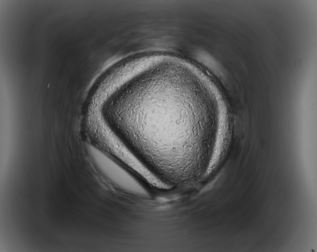X0000083021260200703021955