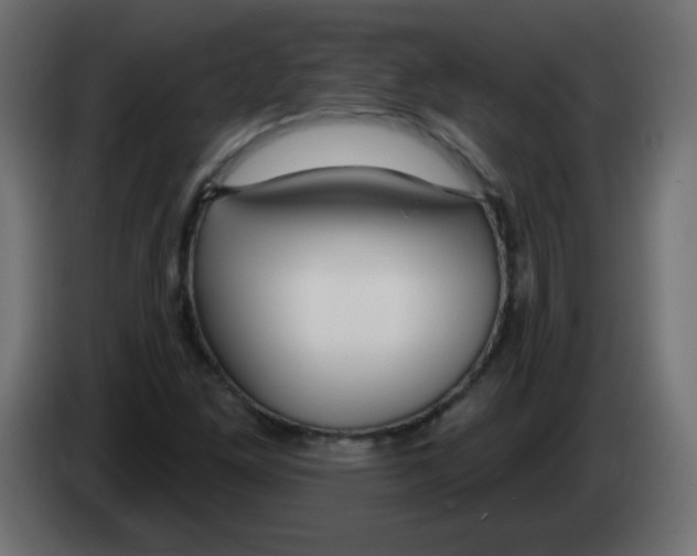 X0000083021261200703021955