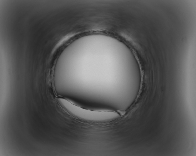 X0000083021262200703021955