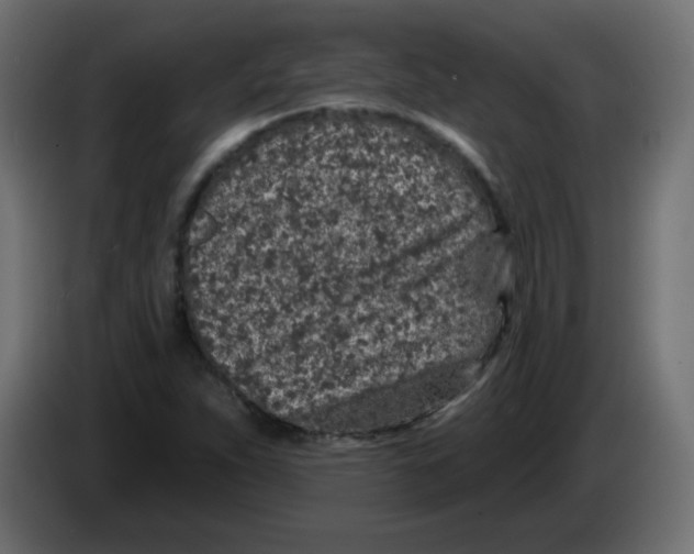 X0000083021263200703021955