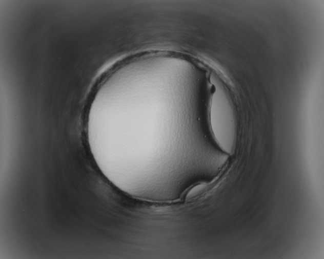 X0000083021264200703021955