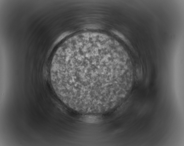 X0000083021266200703021955