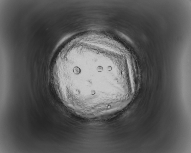 X0000083021267200703021955