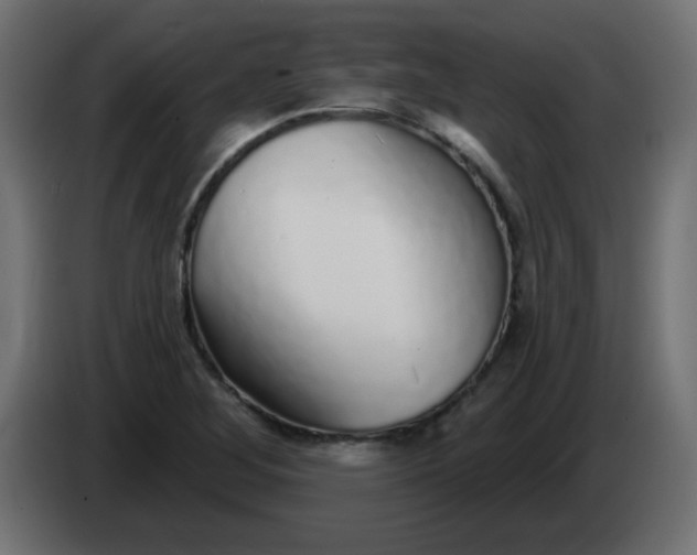 X0000083021268200703021955