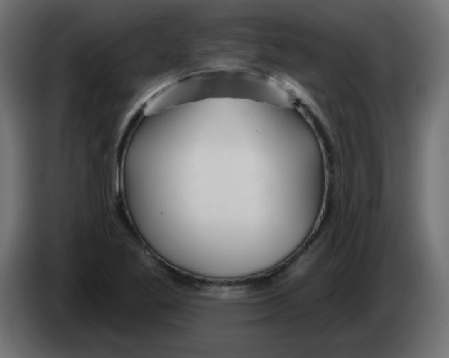 X0000083021269200703021955